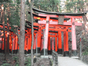 Fushimi Inari Shrine Torii Gates in Kyoto, Japan