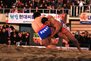 Lee Ju-yong takes down Woo Hyeon-won in the finals of the 2012 Seollal Ssireum Tournament.