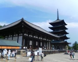 Visiting Nara Park in Japan’s Ancient Capital