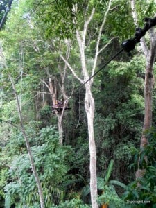 Looking at the next zipline platform at Flight of the Gibbon.