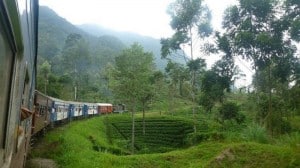 A spectacular view from the train of Sri Lanka's tea plantations.