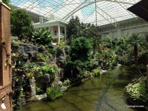 Inside the Delta Atrium at the Opryland Hotel. One of the best things to do in Nashville, Tennessee.