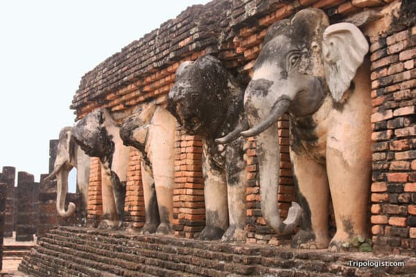 Well-preserved elephants holding up a chedi at Wat Chang Lom.