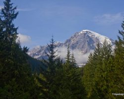 The Beauty of Mount Rainier National Park
