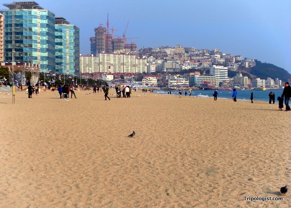 Haeundae Beach is one of the top beaches in South Korea, but always crowded in the summer.