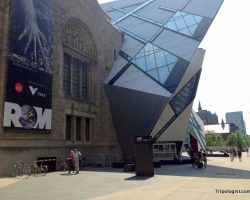 Exploring History and Culture at the Royal Ontario Museum